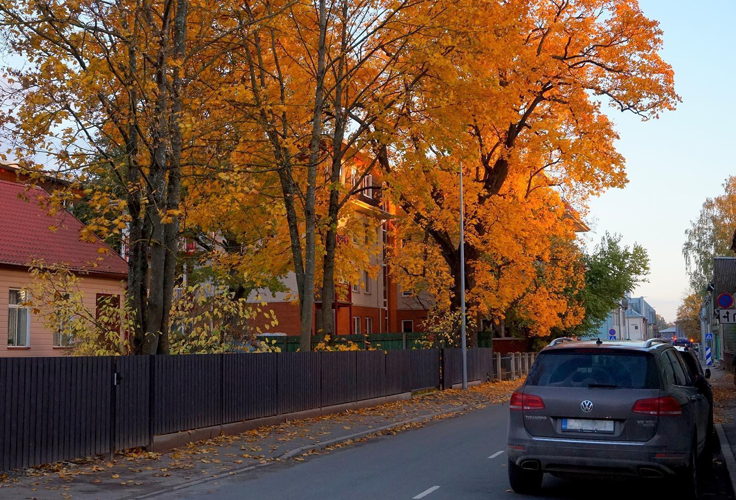 Quiet Romantic Studio Plus Parking, Tartu Home Luaran gambar