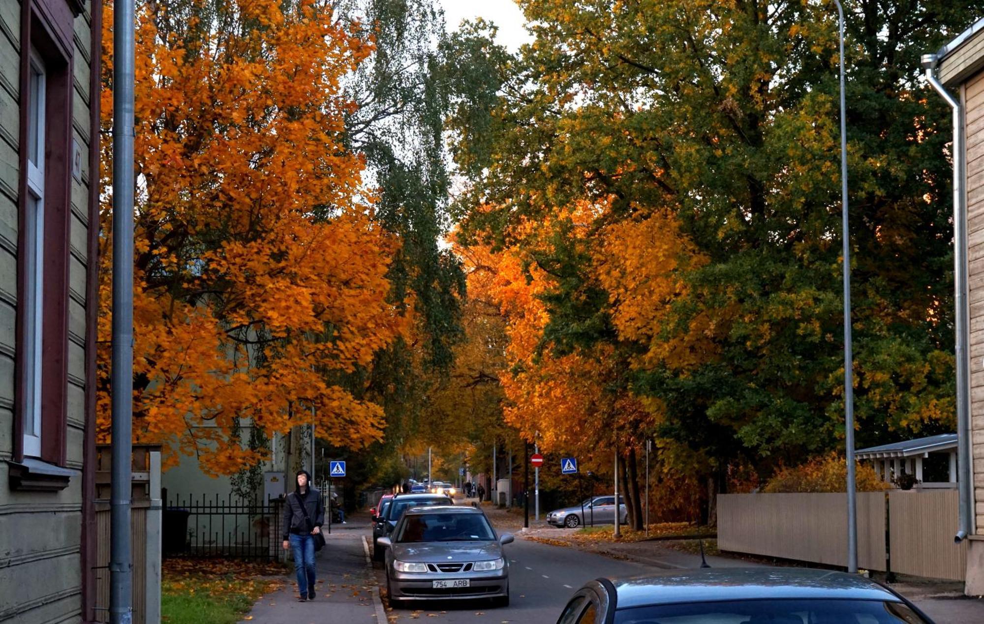 Quiet Romantic Studio Plus Parking, Tartu Home Luaran gambar